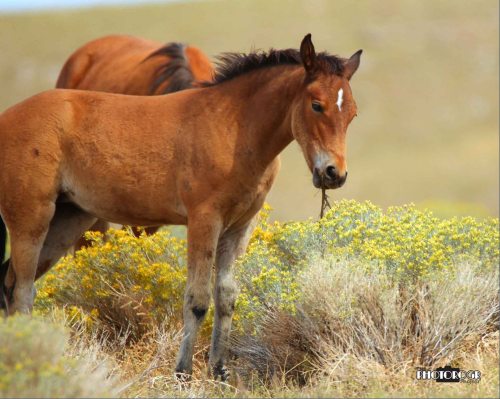 IMG_9285 - edited lr logo