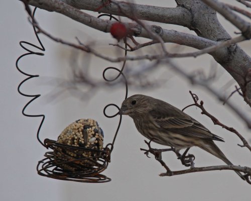 IMG_0073 - e1a8x1004