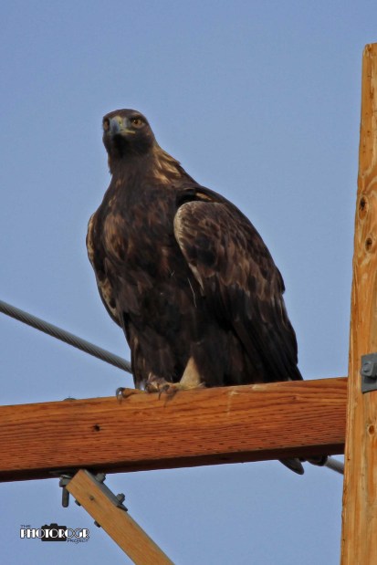 IMG_0436 - e1a4x6lg04