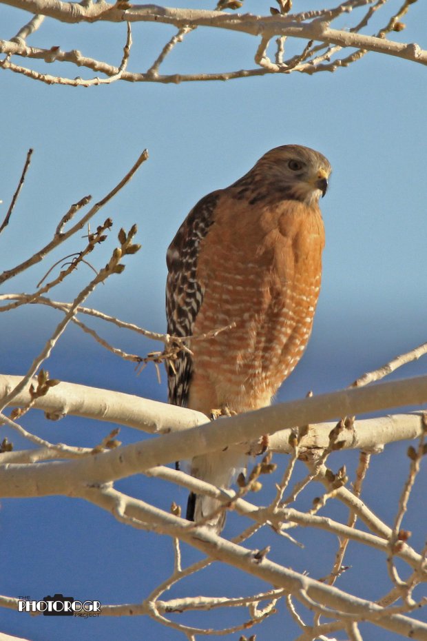 IMG_2487_edited-2alg04