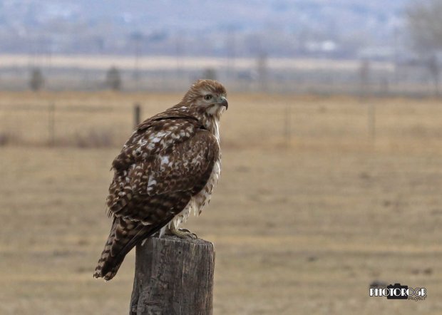 IMG_2569_edited-2a5x7lg04