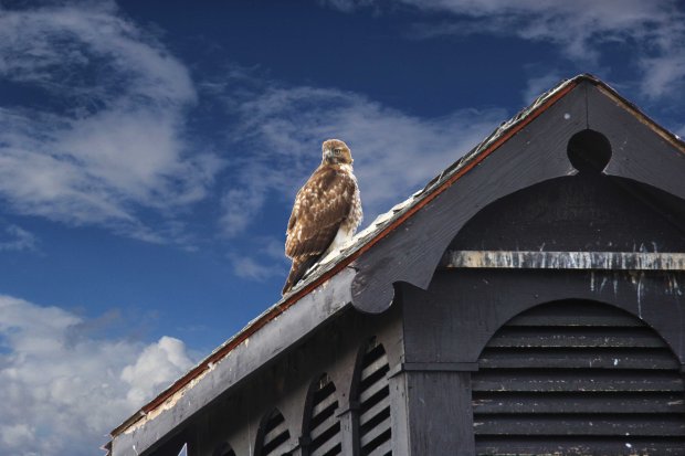 IMG_2583_edited-2sky304