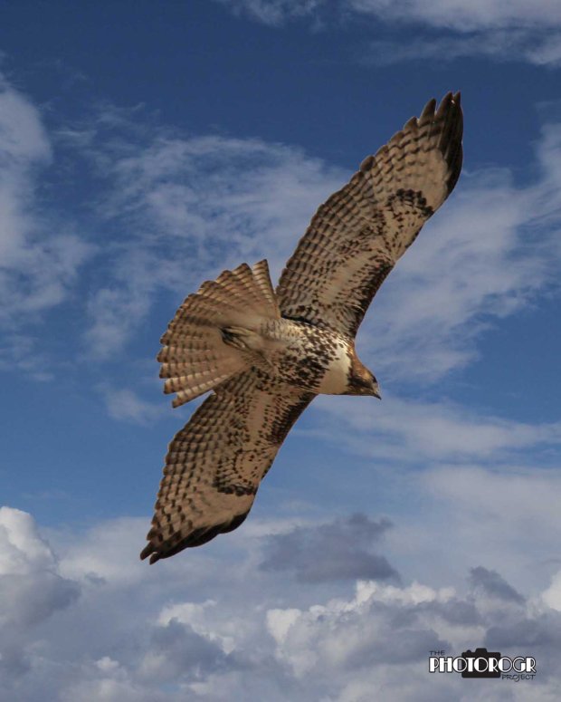 IMG_2728 with sky_e2lg04