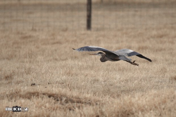 IMG_3381_edited-2alg04