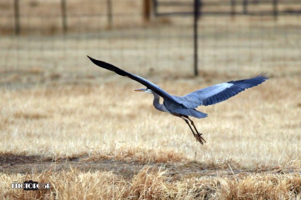 IMG_3384_edited-2alg04