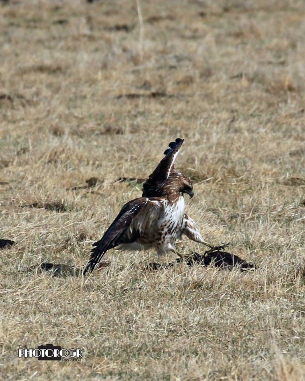 IMG_3442_edited-3lg04