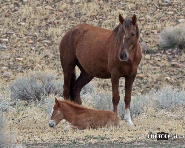 Jonah-and-Mama---PHOTOROGR