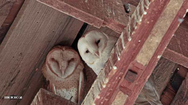 _MG_5838_edited-2lg---w