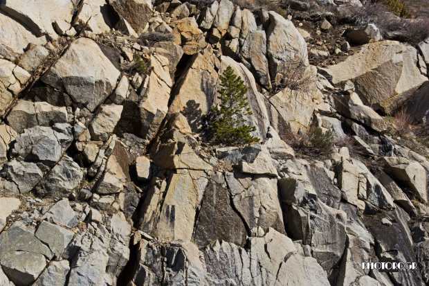 IMG_6483---re2lg---w