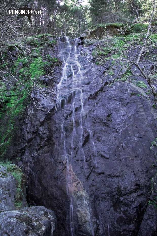 IMG_6644---re2lg---w