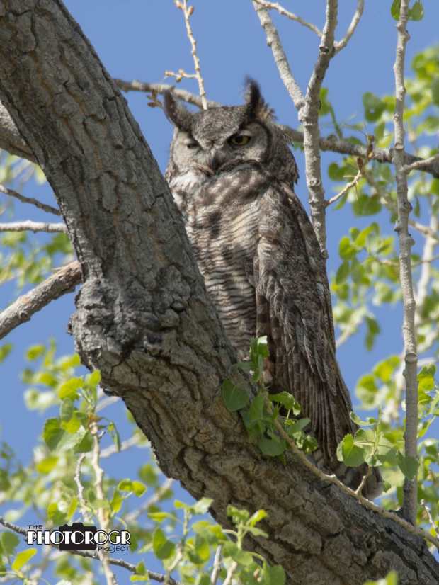 IMG_7326---re1A2---w