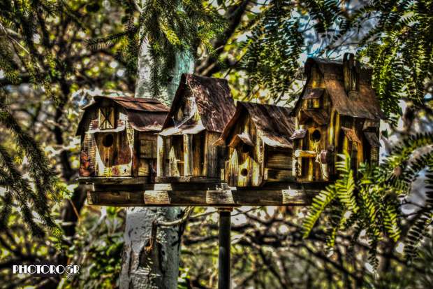 ROGR2512-Surreal-1-w