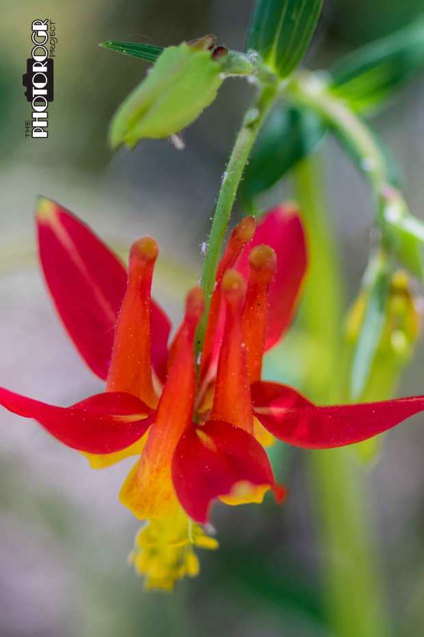 ROGR8680XL-a-8x12-z-w