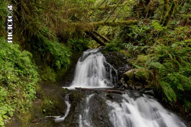 ROGR9210-Shepherds-Dell-a-w