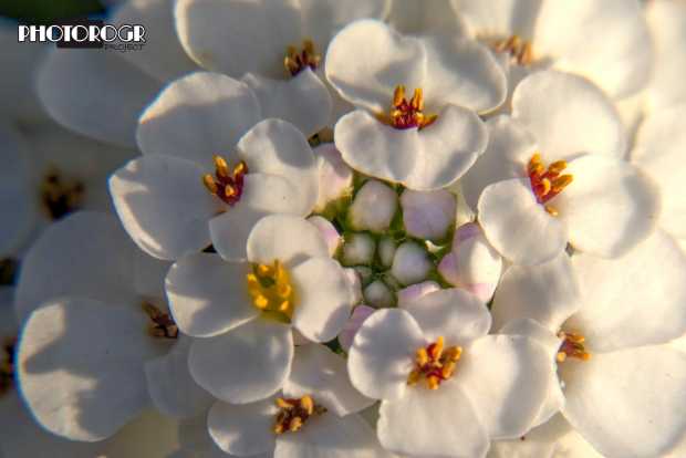 PMX0186-7_Interior-3-a-z-w