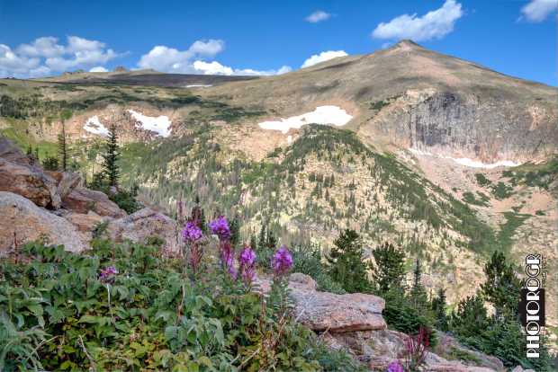 PMX9881-4_Interior-3-z-w