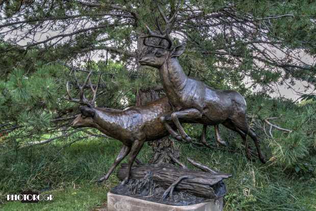 pmx9682-4_vibrant-a-z-w