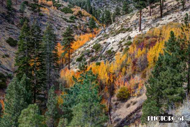 pmx2728-30_fall-color1-a-z-w